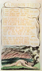 Songs of Experience; A Poison Tree, 1794